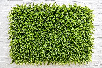 《刀锋王子学院》将于3月7日发售 训练角色粉碎敌人